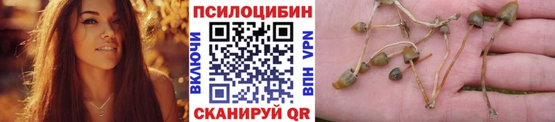 Купить закладки  Реж  Псилоцибиновые грибы Magic Shrooms 