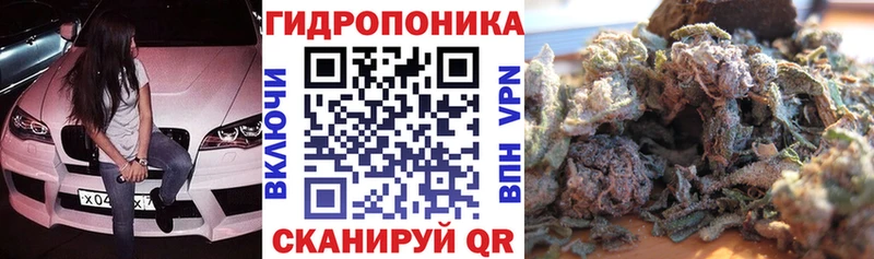 Бошки Шишки THC 21%  Купить закладки  Реж 